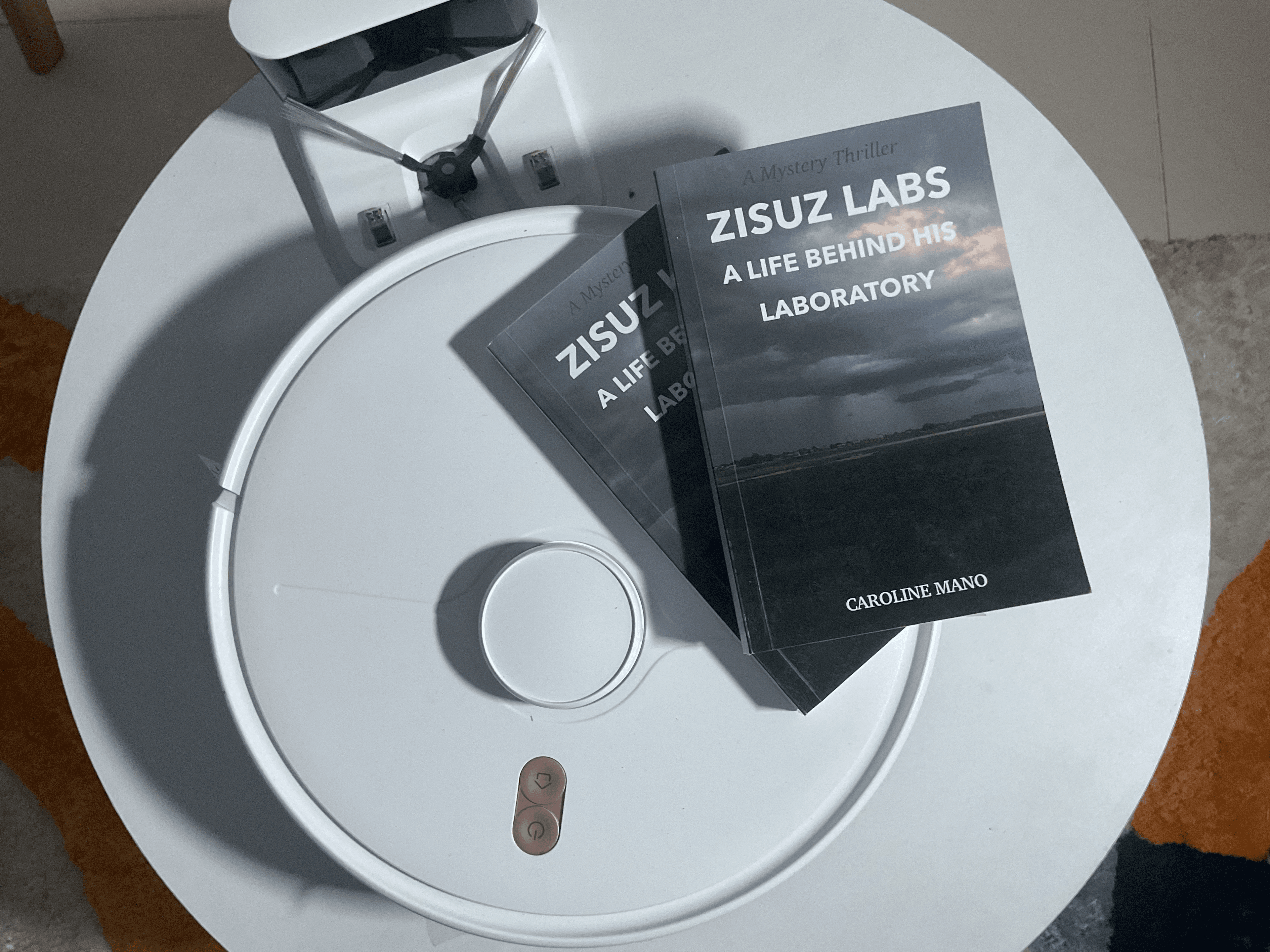 Zisuz Labs Book